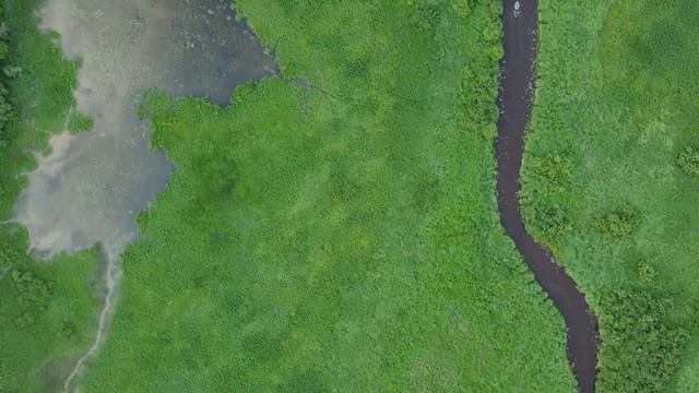 Река Оредеж у деревни Бутково Лужский р-н ЛО смотреть онлайн