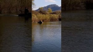 Лодка STEFA 2.6 мотор от триммера 52см.