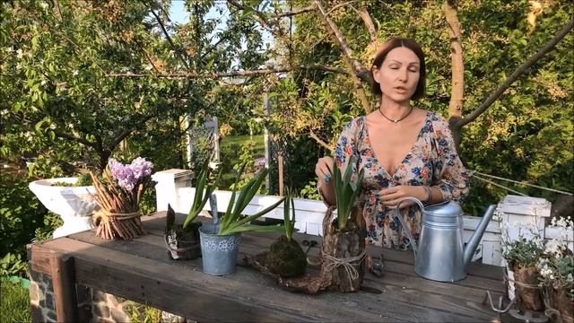 КАК СОХРАНИТЬ ГИАЦИНТ ПОСЛЕ ЦВЕТЕНИЯ