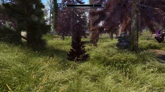 Day 434 - Killing Nazeem Every Day Until Elder Scrolls 6 is Released смотреть онлайн