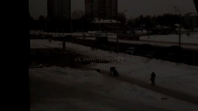 О породе Американский Стаффордширский Терьер♥Отвечаем на вопрос вместе с Бадди☼