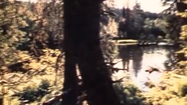 На страже природы, 1979 смотреть онлайн