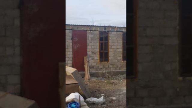 СТРОИМ НОВУЮ ГОЛУБЯТНЮ ДЛЯ ГЯНДЖИНСКИЙ смотреть онлайн