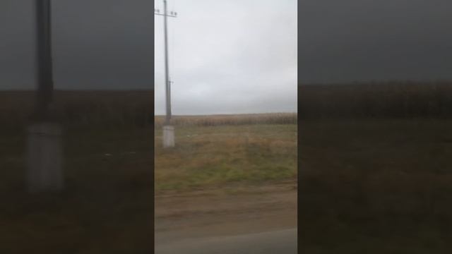 Поездка на Слуцком Автобусе 355с Минск-Чики АХ 1626-5 ПАЗ-320405-04 "Vector Next" (1-ая часть) смотреть онлайн