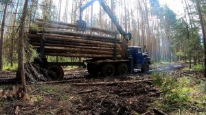 Урал-лесовоз. Погрузка леса,тонкомера.Съемка в лесных условиях.