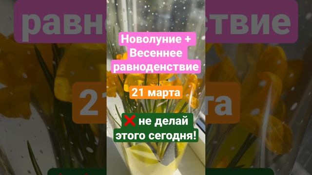 Новолуние и ? Весеннее равноденствие 21 марта 2023 ❌ Чего нельзя делать #новолуние #гороскоп #таро