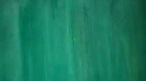 Голуби Лёни Цыгана,г.Енакиево.