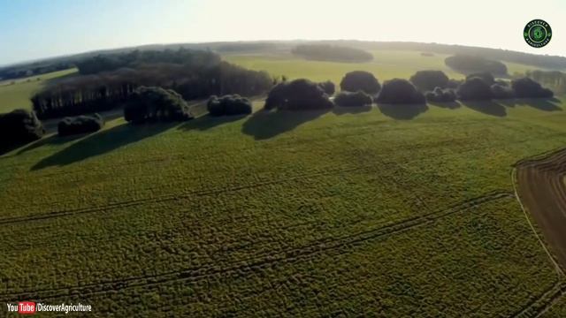 How SUGAR is Made | Sugar Beets Farming, Harvesting & Processing | Making Beets into Sugar