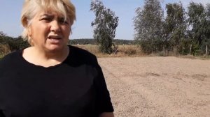 Оздоравливаем почву - сеем сидераты. Мой опыт.