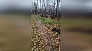 Группа Дятлова. Дорога к памятнику.