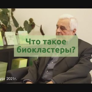 Что такое биокластеры? Живая Зелёная Клетка.