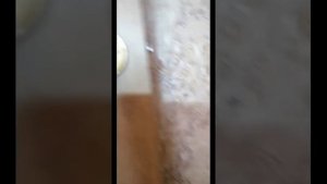 Как снять ручку защелки двери