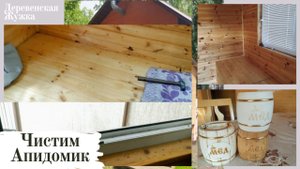 Пчёлы. Сон на пчёлах. Чистим апидомик (Bee.)