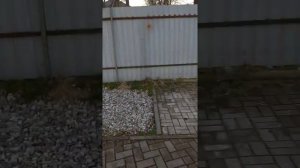 "Добрыня" пистолет аэрозольный, пятизарядный. Усовершенствованный газовый баллончик.