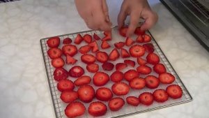 ФРИПСЫ Очень вкусно и полезно Готовим в дегидраторе Rawmid Dream Vitamin