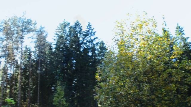 Я за тебя молюсь всегда (Вольные Сказы) смотреть онлайн