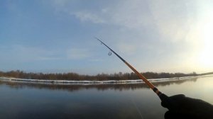 Maximus Work Horse-X 2.4м 3 -15гр