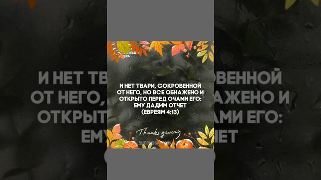 Хорошего вечера! Мирного Неба! смотреть онлайн