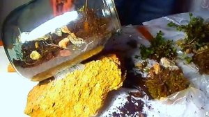 Делаем вечный террариум в домашних условиях 1 часть