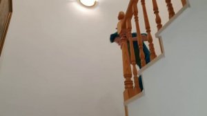 Заболел. Мама принесла чай, а я хочу МоРоЖеНоЕ. Пришлось превратится в дракона...