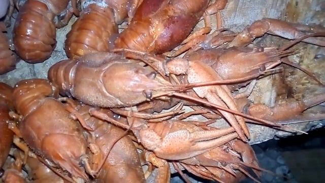 Подделка для бани своими руками смотреть онлайн