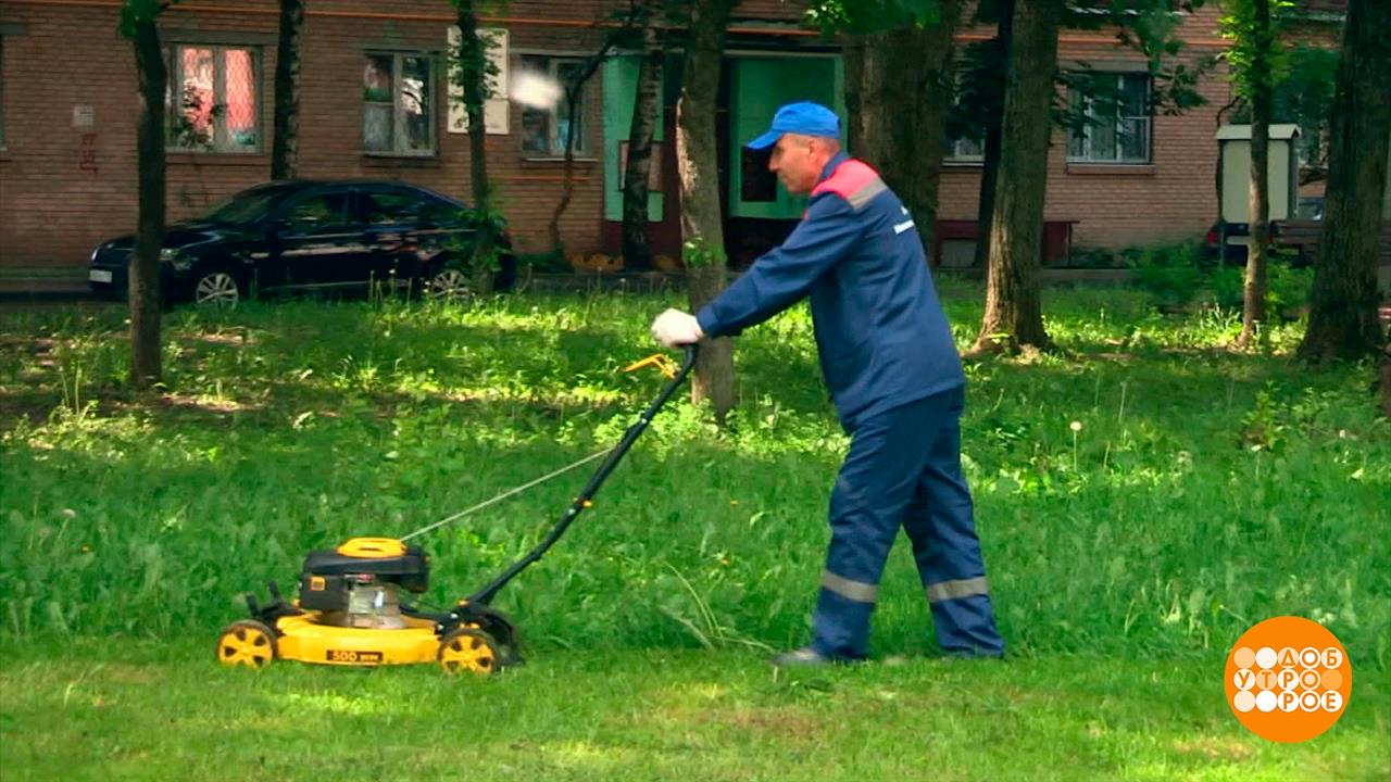 Сезон покоса травы: просьба не беспокоить! Доброе утро. Фрагмент выпуска от 13.06.2023