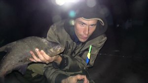 Ловим подлещиков. Рыбалка с ночёвкой. Копчёный лещ