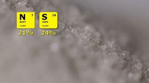 Сульфат аммония - сила азота и серы