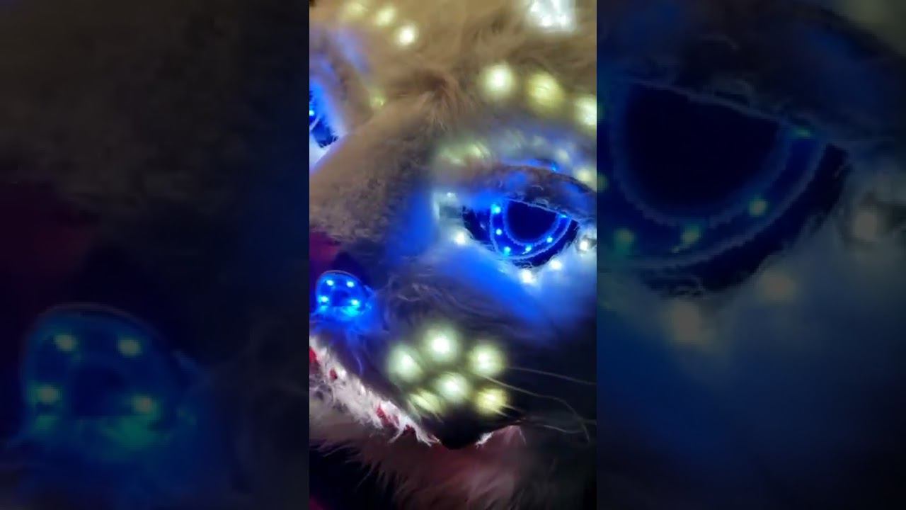Да,  я КОТИК  Милый, классный няшный  #котейки #световоешоу #шоунакорпоратив #заказатьшоумосква