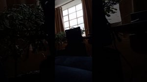 Randall rg15xm amp,Ltd m400 guitar