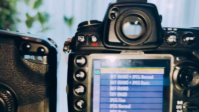NIKON D700 vs CANON EOS 5D