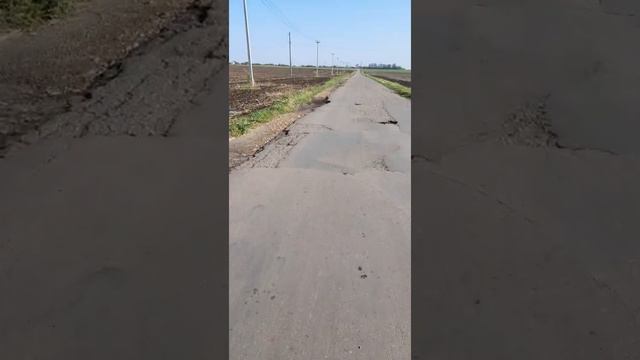 Просим помочь в ремонте дороги(1) КРАСНОДАР ПРИКУБАНСКИЙ ОКРУГ НСТ"КУБАНСКАЯ НИВА"