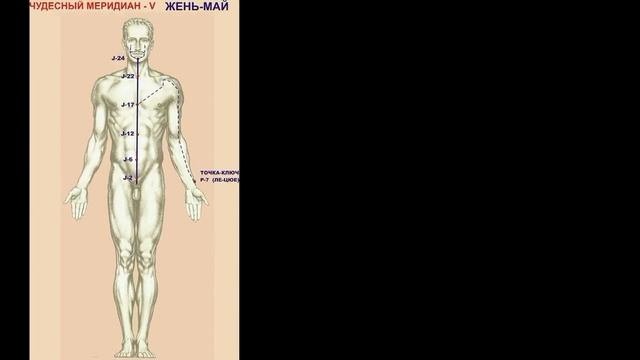Чудесные меридианы - видеокурс.. Часть 2.