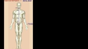 Чудесные меридианы - видеокурс.. Часть 2.
