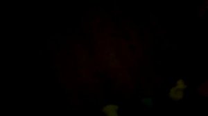 Что такое слизняк и прилипалы