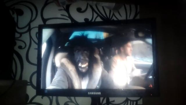 Реакции на тэкила это нормально смотреть онлайн