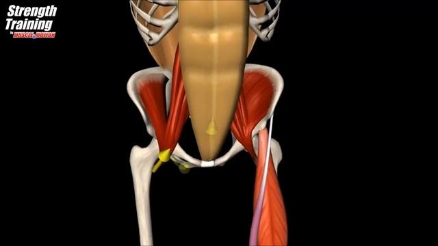 Подъем ног в висе на перекладине смотреть онлайн