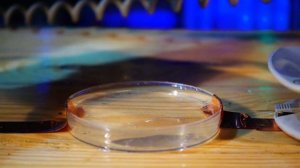 Что если ДЕФИБРИЛЛИРОВАТЬ СЕРДЦЕ..?