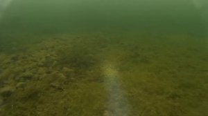 Озеро Сугояк под водой. Челябинская область.