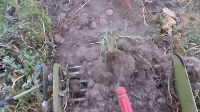 Копаю картошку. Ответы на вопросы о копалке.