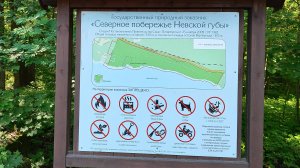 Государственный природный заказник «Северное побережье Невской губы»