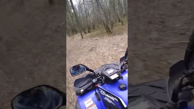 Квадроцикл в лесу. Жаль гор нет. смотреть онлайн