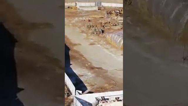 ???город ош. Мясо осла смотреть онлайн