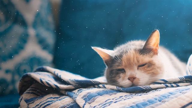 ЧРЕЗВЫЧАЙНО успокаивающая расслабляющая музыка для кошек и людей!