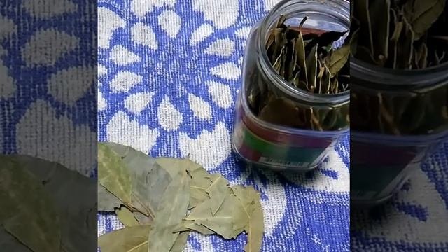 Кашель. Как избавиться бронхита, застарелого кашля, сухого кашля за 1 день. Лучшие народные средств