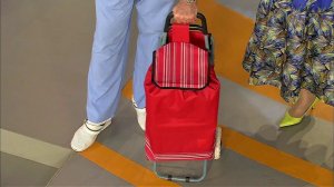 Лучшие чемоданы в дорогу. Жить здорово! Фрагмент выпуска от 01.07.2013