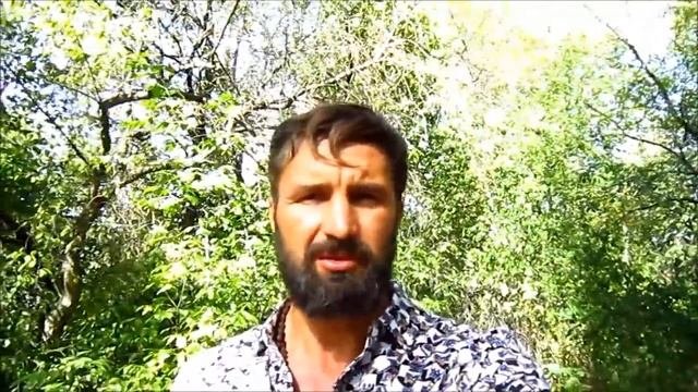 Отказаться от вредной пищи не просто, а очень просто!