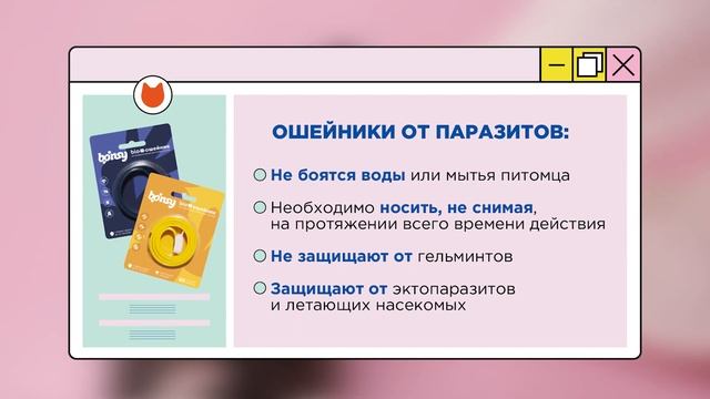 5 вопросов про обработку от паразитов: таблетки, капли и ошейники от блох, клещей и гельминтов смотреть онлайн