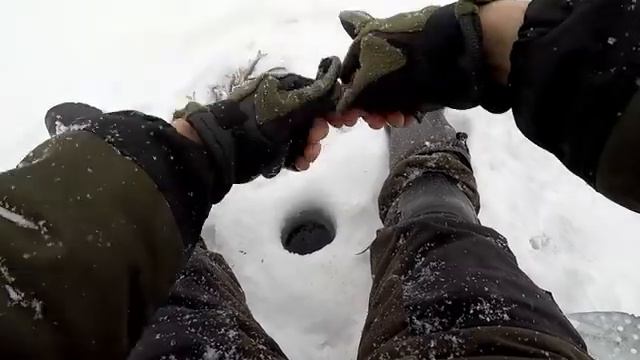 Ловим Ельца в Глухозимье! Рыбалка на р.Томь, Вечерний Клёв!