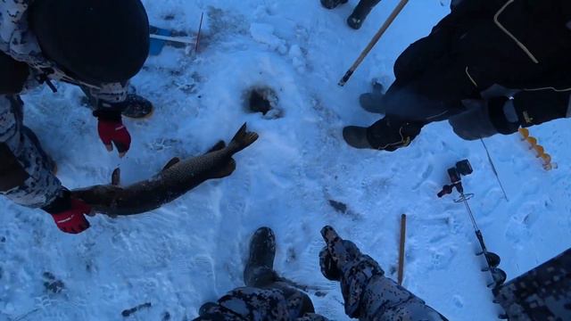 Совсем скоро 1 часть поездки за трофейной щукой смотреть онлайн